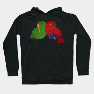 Two Eclectus Hoodie